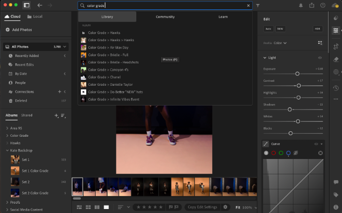 adobe lightroom search bar
